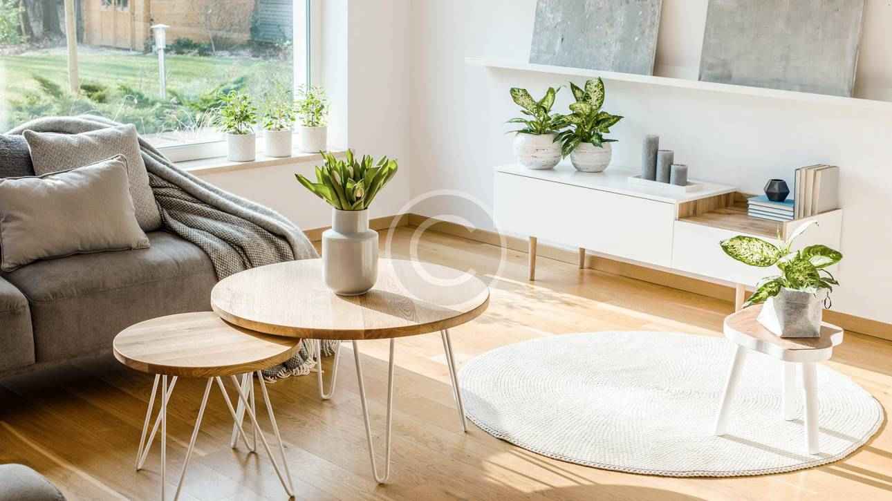 portfolio image7 new copyright