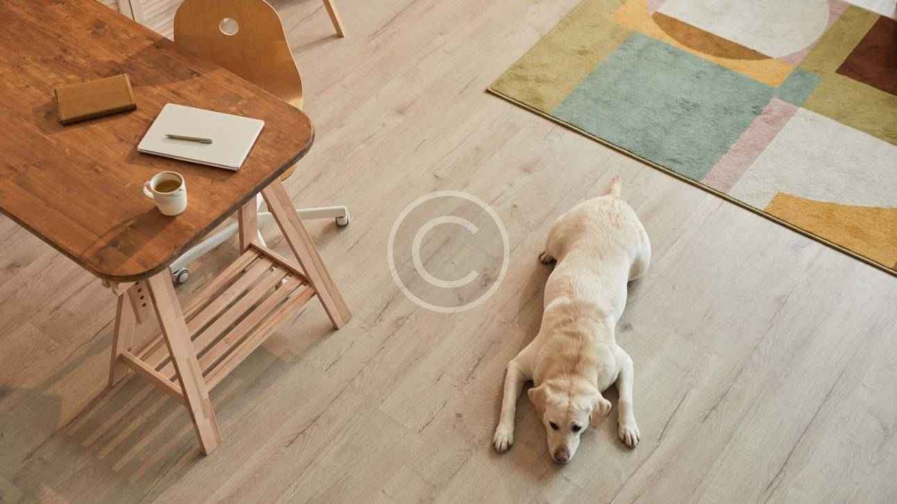 post image1 new copyright